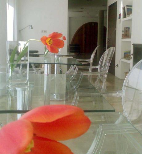 Hotel El Patiaz De La Reina Rana Tauste Ngoại thất bức ảnh